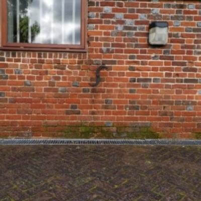 copyright: Athina Petsou